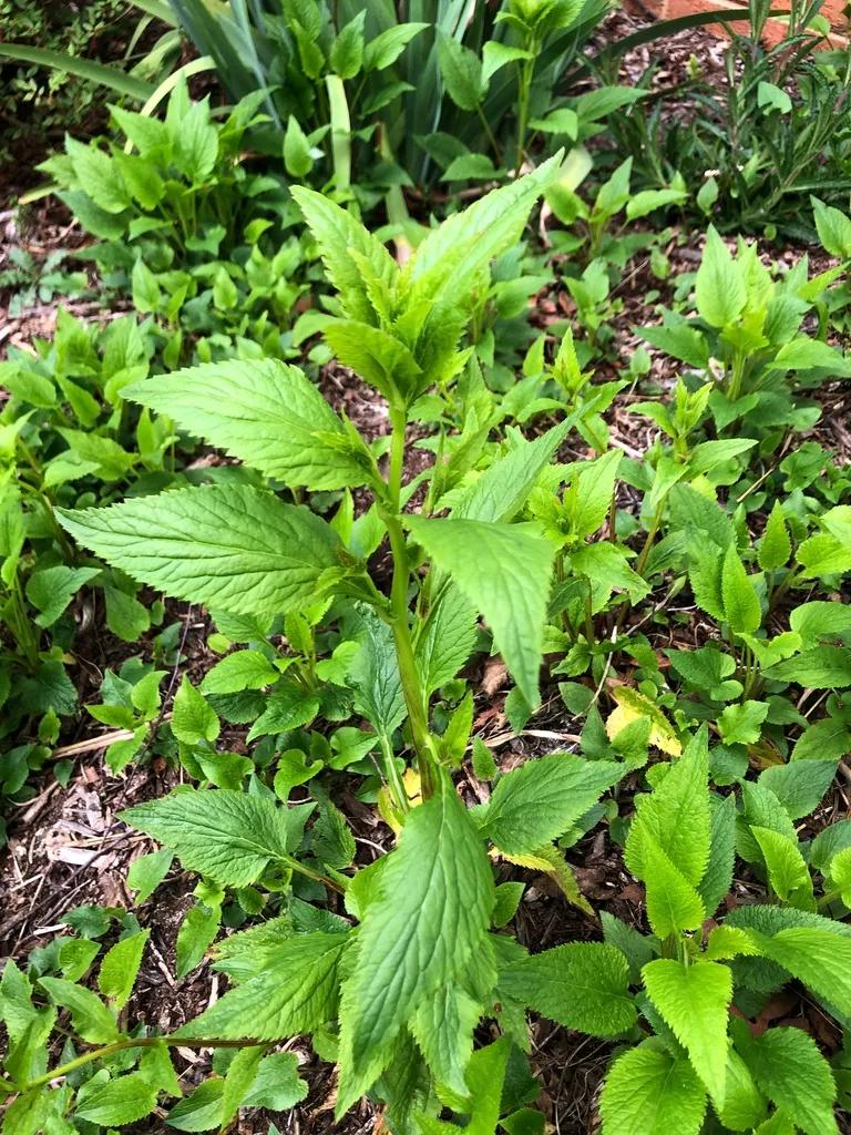 做好这三点你才能成事,做好这三点淡斑效果翻倍