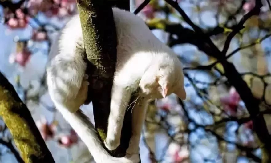 沐之出自什么诗句,沐之诗词