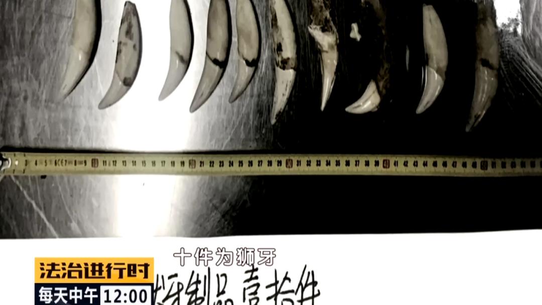 90后空姐裸辞养猪,90后北京空姐