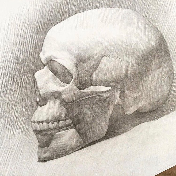 石膏头像大卫素描教程步骤,小卫石膏头像素描教程完整版