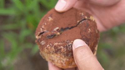 脏脏奶茶泡芙,脏脏黑糖珍珠泡芙