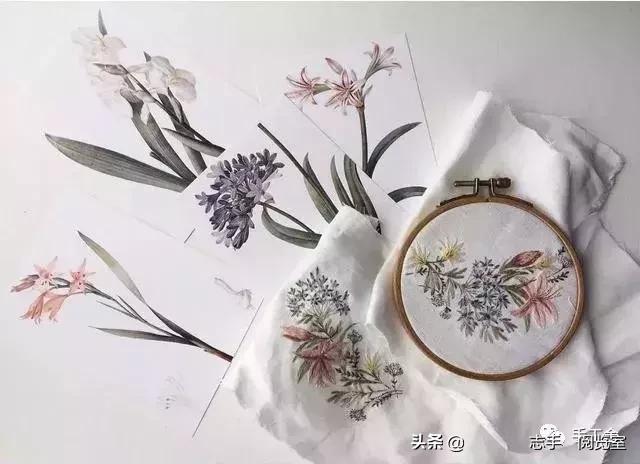 领口刺绣小花朵,刺绣花朵500种图片大全