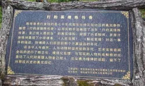 19岁女武松空手打死2米金钱豹,武松19岁徒手打死一只金钱豹