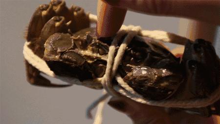 大闸蟹蒸熟了放冰箱能保存多久,大闸蟹冰箱保存方法用泡沫箱