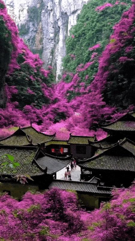 一生必去的中国50个最美地方,中国秋天最美的十个地方