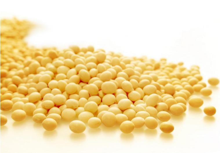 什么食物蛋蛋白质高能增强免疫力,补充抵抗力蛋白粉和鸡蛋哪个更好