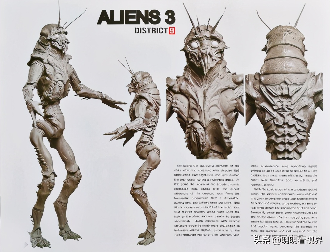 有生之年电影——《第九区》背后的故事，大虾的前世今生（一）