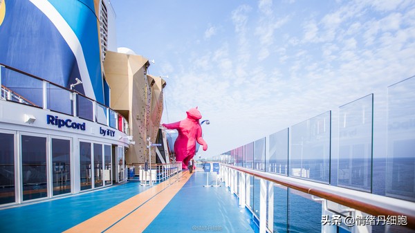 邮轮游选择哪个游轮好,邮轮旅游全攻略公主号