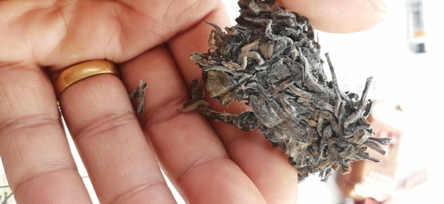 普洱茶怎么辨别白霜和发霉,普洱茶白霜和发霉怎么区分图片