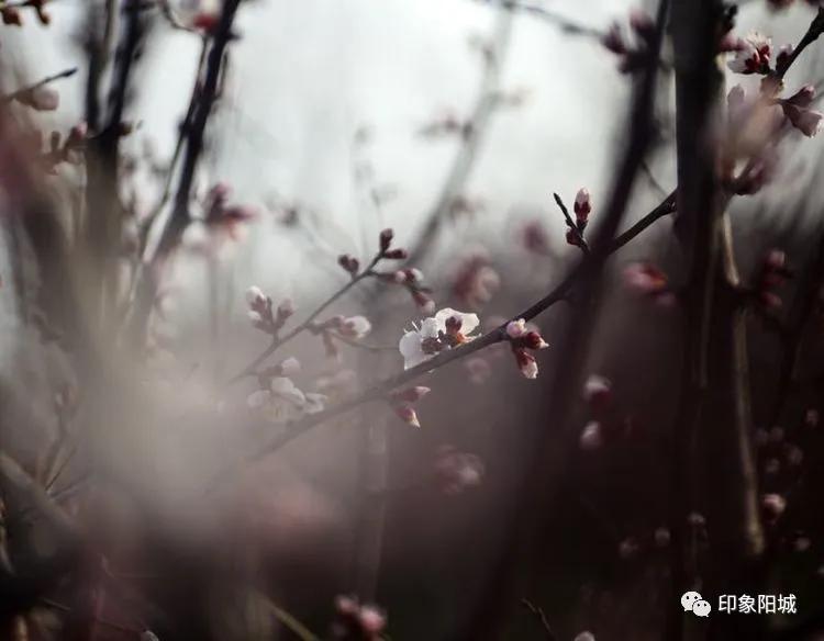 晋城哪里可以春游,晋城附近春游景点