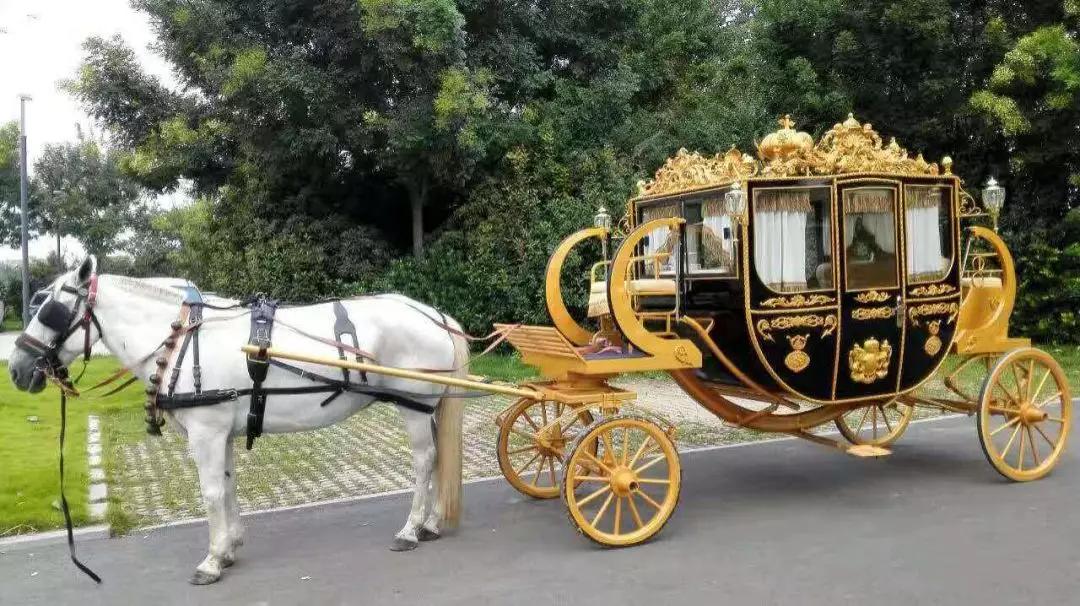 双流空港花田十月份有什么活动,双流空港花田赏花