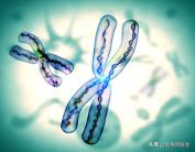 「免疫相关不良妊娠答疑解惑49」——遗传因素检查