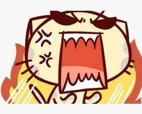 怎么选择猫粮才是正确的,一个月的猫咪怎么挑猫粮