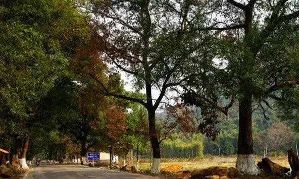 始兴市区游玩攻略,韶关始兴县旅游攻略