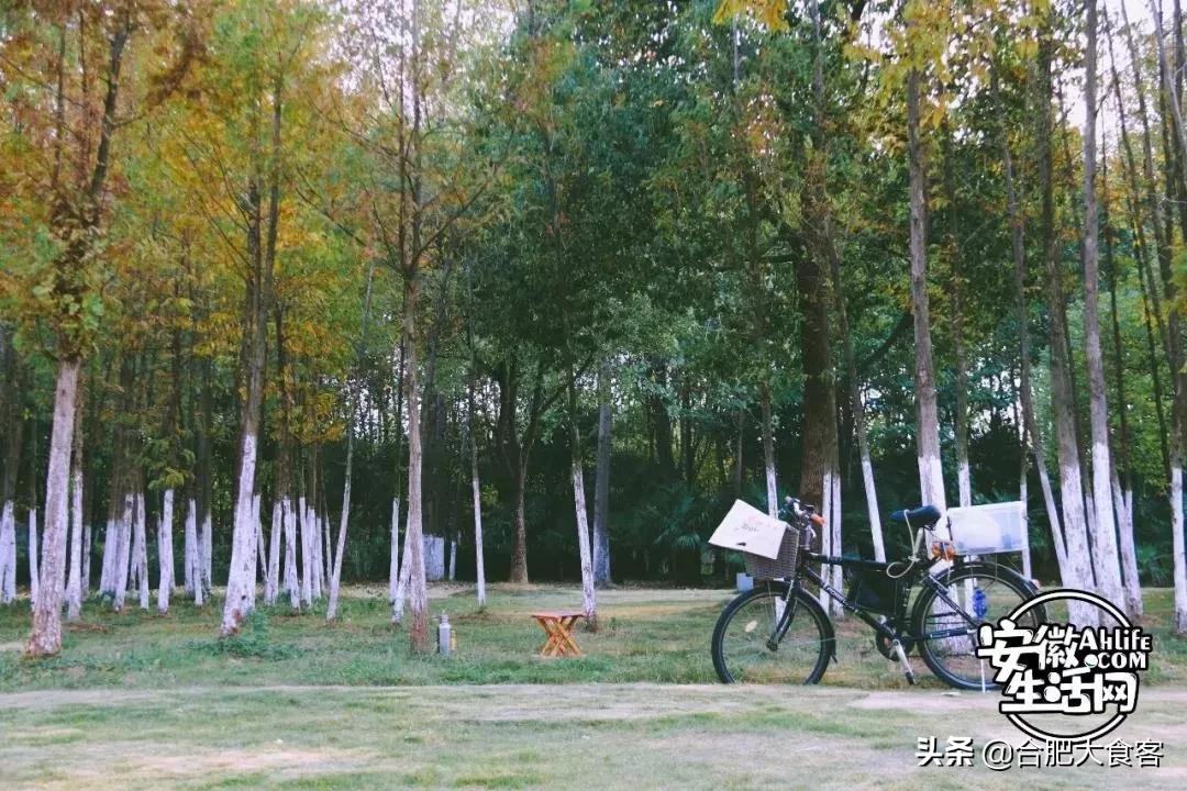 2020年，在这50个地方遇见不一样的合肥