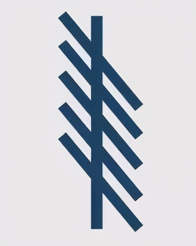 星见闻｜树也能有性格测试？一起来看看你的凯尔特生日之树（二）