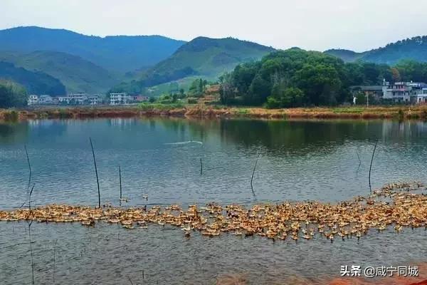 崇阳十处绝美古村落,藏在湖北咸宁深山中的古村落