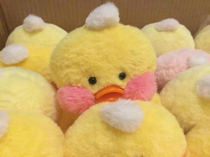 【玻尿酸鸭头像】可爱的鸭子头像