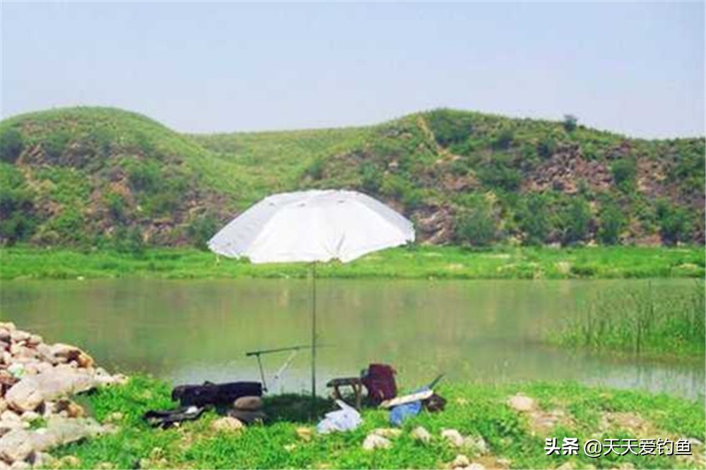 钓鱼技巧：一年中钓鱼最好的几个时机，抓准时机比技巧还重要