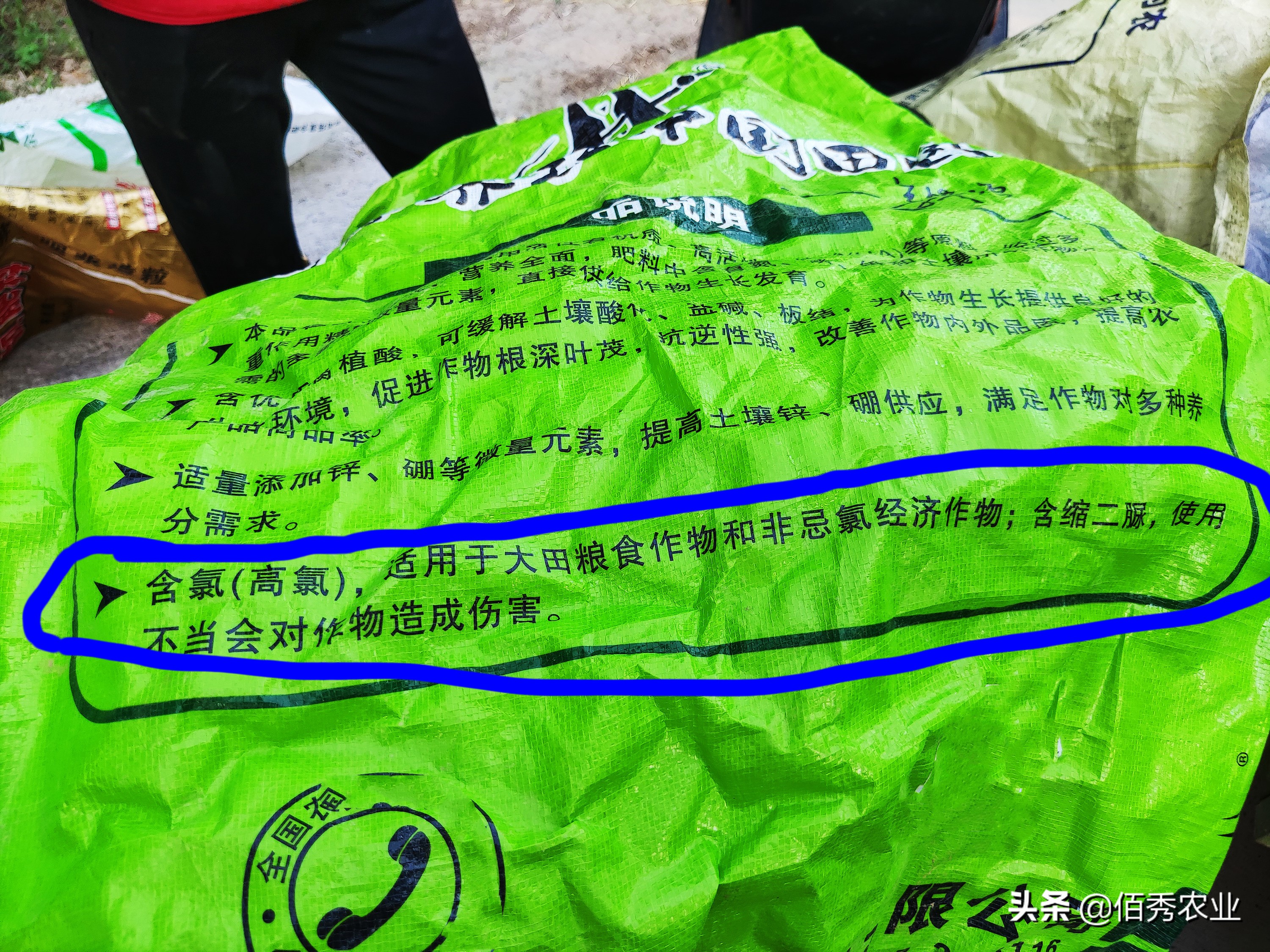 农户用药产生药害如何处理,辣椒幼苗受施田普药害后怎么治