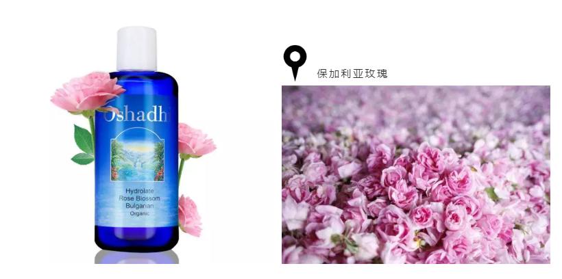 冷门而且卖得好的欧洲护肤品 (国外大牌小众护肤品有哪些)