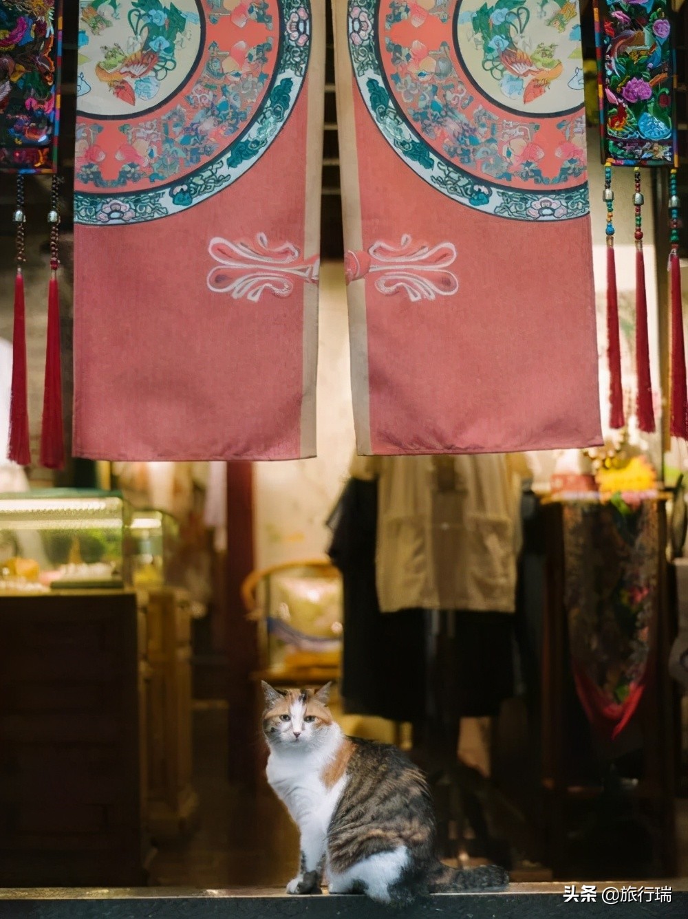 无锡连续三年入选中国最宜居城市,无锡再次荣获内地第一宜居城市