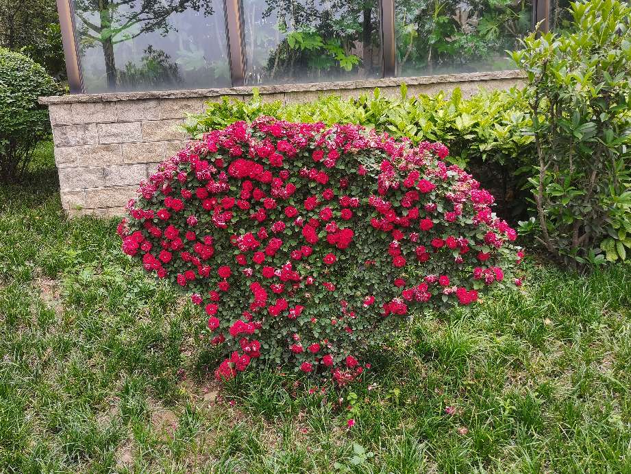 太白山凤凰温泉酒店在哪一块,太白山凤凰温泉酒店b楼