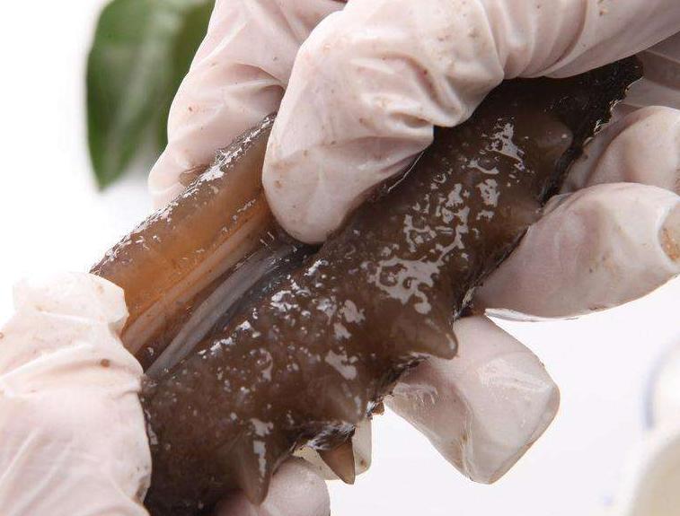 怎样鉴别真假海参的方法,怎么才能辨别是真假海参