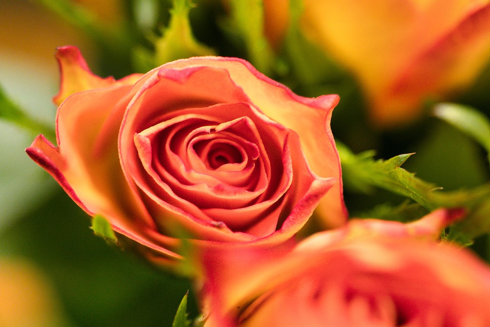 玩欲擒故纵的男人是爱还是不爱你,男的对你欲擒故纵女的应该怎么做