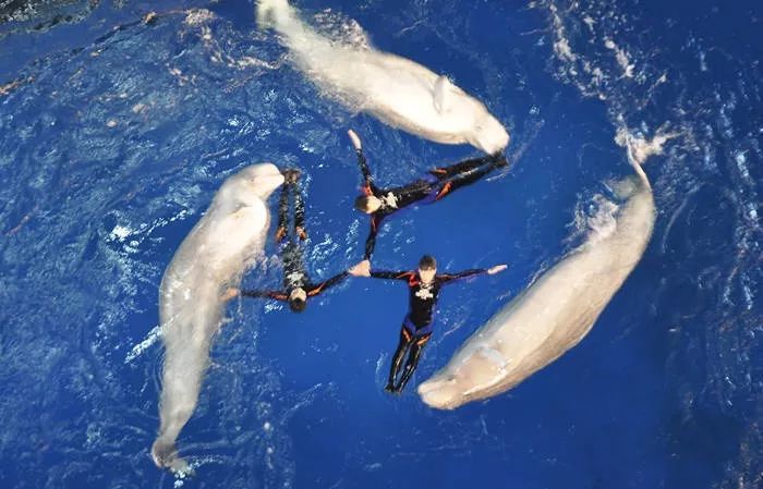 上海30家“休闲好去处”:一半以上都免费,够玩一整年