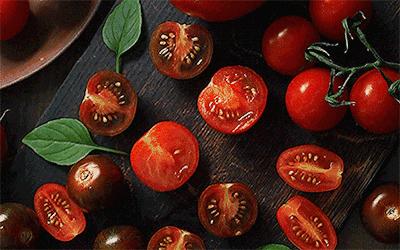 第一届T11“好物营九大爆款”正式出道，请你来打call