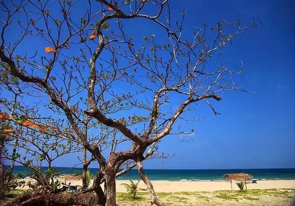 缅甸是一个让人着迷的地方,缅甸这个国家的特色
