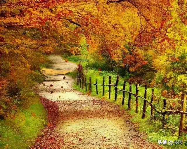 《秋天的怀念》:细品“好好儿活”