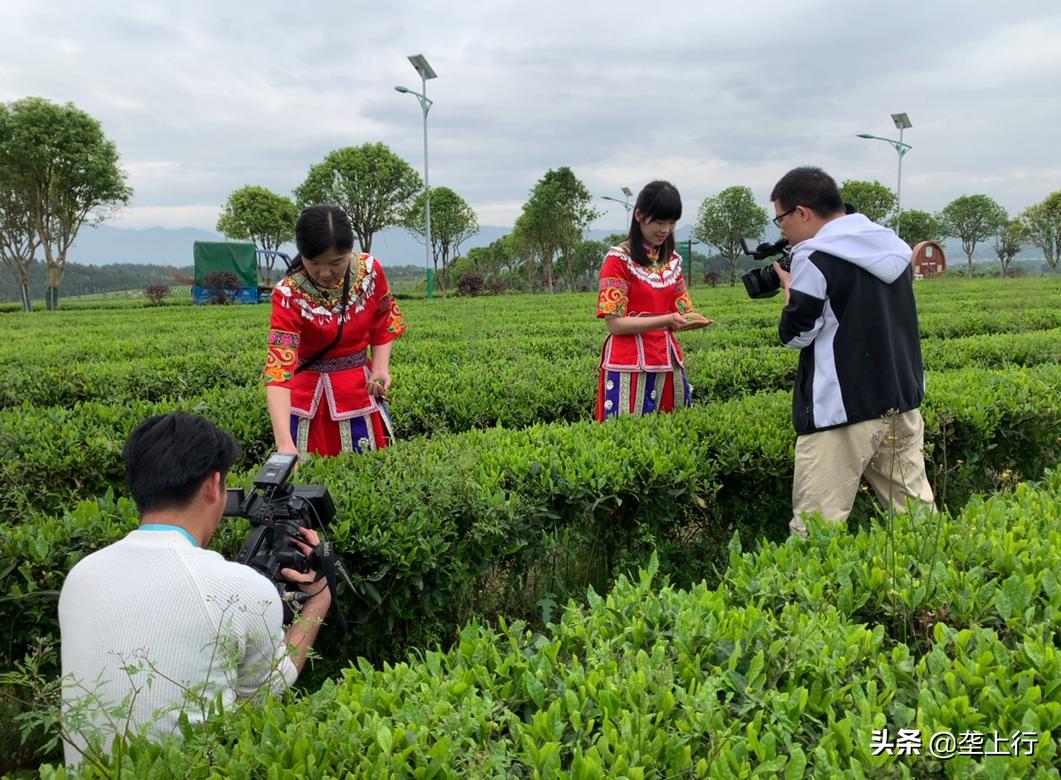 赏美景品好茶鉴好物，全国媒体团“陶醉”通城