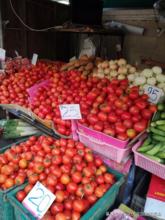 这才是真正的泰国农村生活,泰国物价大揭秘便宜到你不敢相信