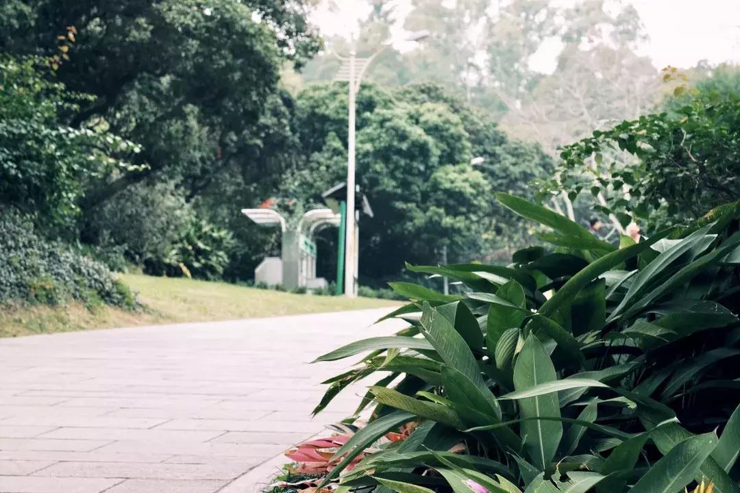 在福田区下梅林生活体验好吗,下梅林晚上适合去的地方