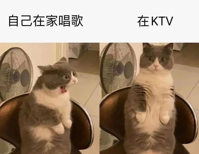 亲身经历过哪些坑,亲身经历致命骗局