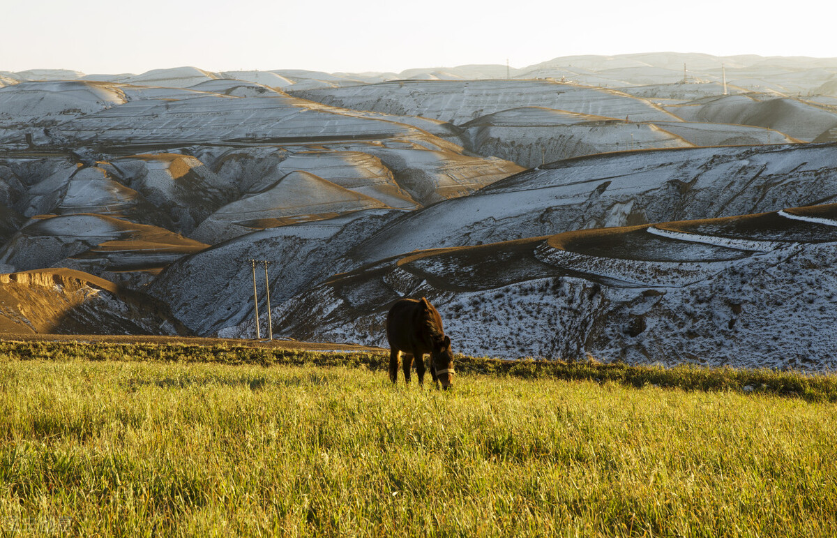 涔旀櫀鏁欐巿璁插骇,涔旀櫀