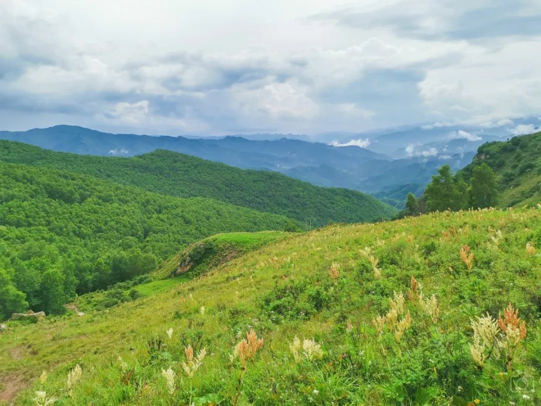 徒步穿越北驼梁完整版,穿越花海古道游记