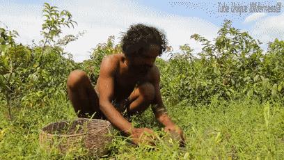 木棍怎么挖出泳池,一根棍子挖出一个游泳池