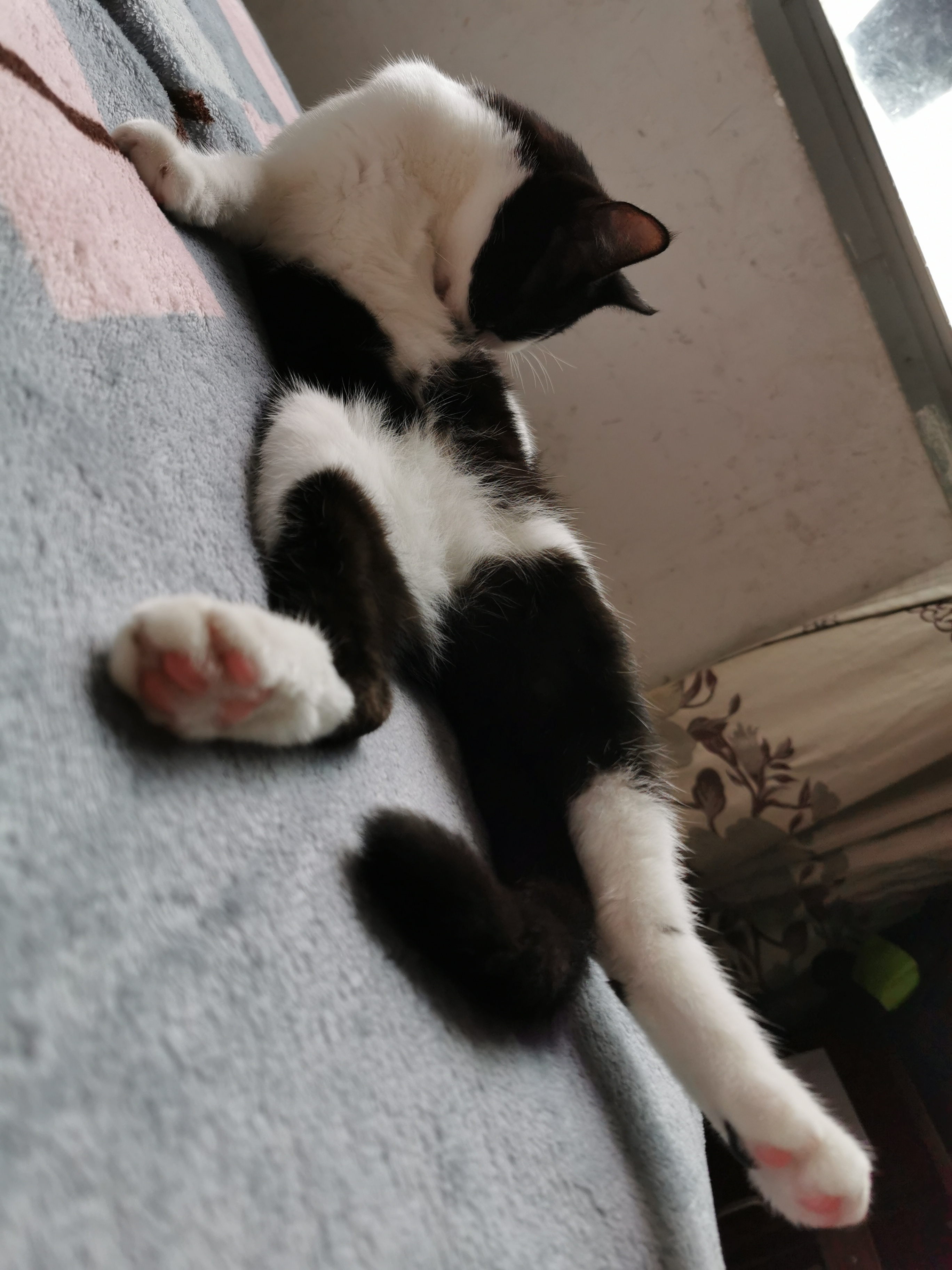 下雨天了我好想你歌词,下雨天了怎么办我好想你原版