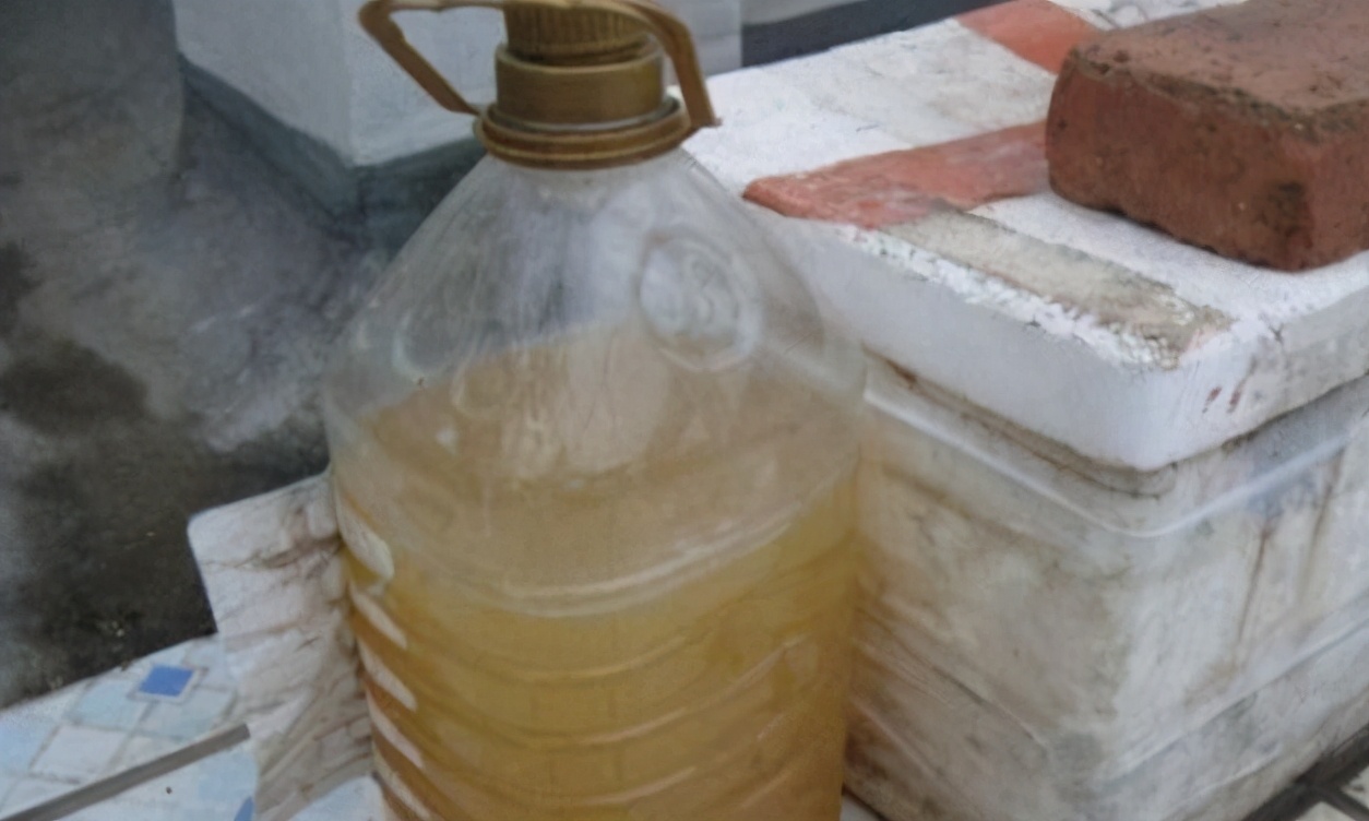 黄豆水浇花的功效与作用,豆渣肥水养花正确使用方法