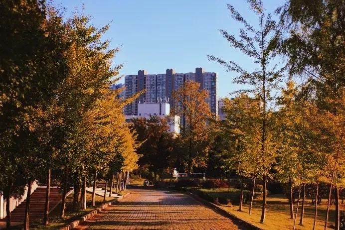 涓滃崡澶у鎴愯搐瀛﹂櫌,涓滃崡澶у鎴愯搐瀛﹂櫌鐧剧