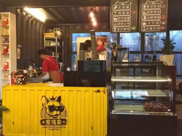 什么地方适合带猫狗玩耍,北京铲屎官可以带狗玩的地方