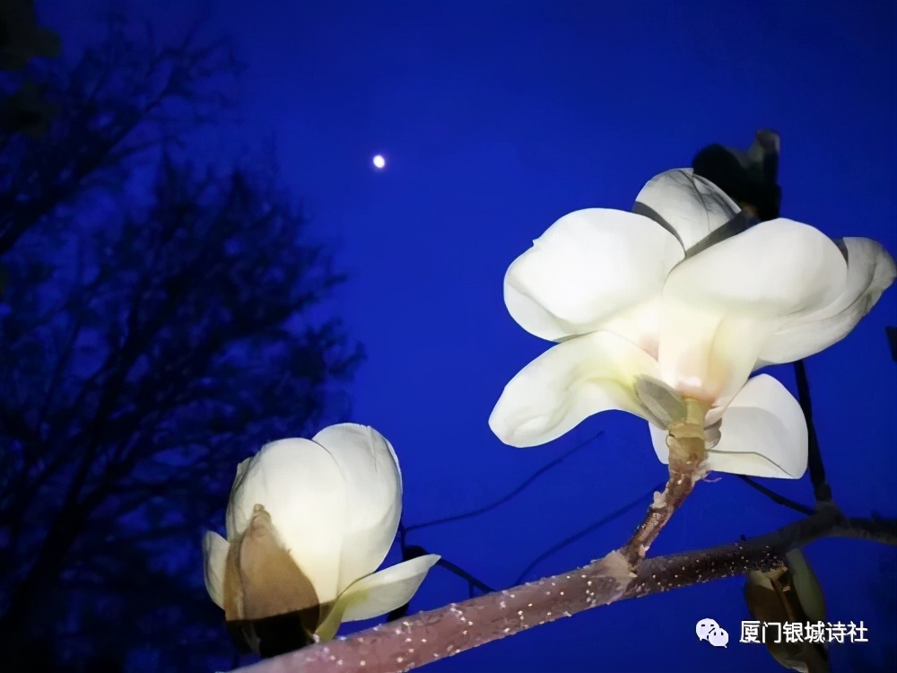 閾跺煄璇楄瘝澶у叏,閾跺煄鍙よ瘲