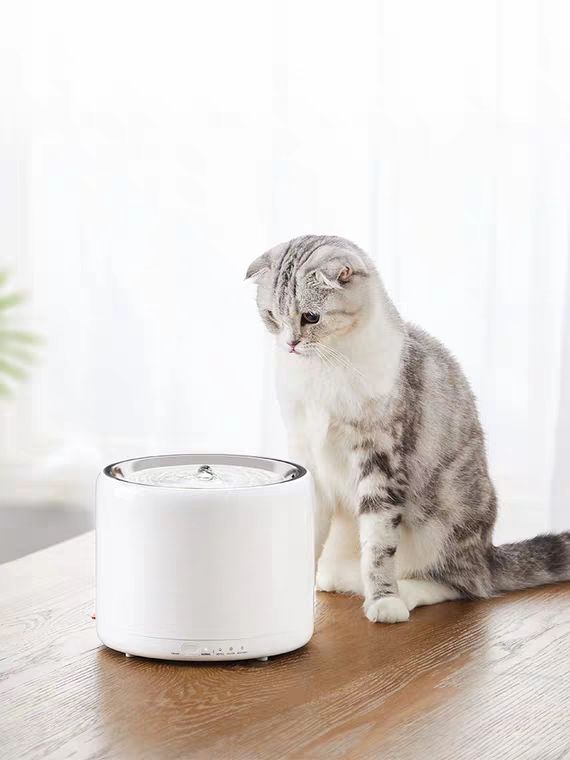 优基情人节良心指南