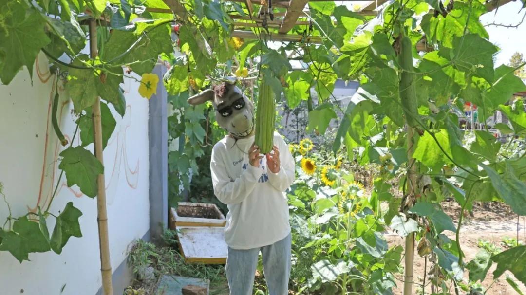 秋冬来袭！来碗养生汤！吃着鸽子喝着汤！请客有面子就到鸽子王