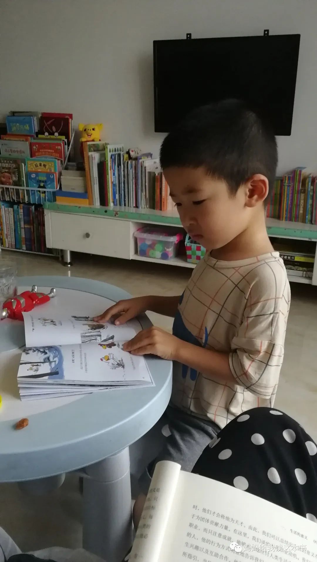 绘本书怎么分类,绘本包罗万象