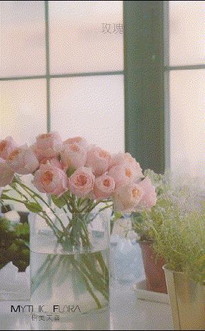 芒种收获幸福种下希望,芒种收获及感悟