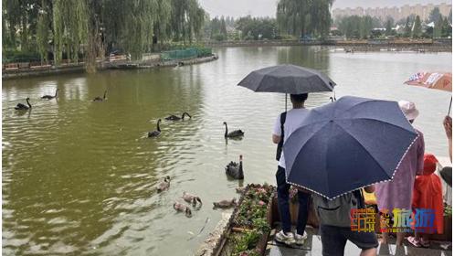 京城这些好地方您还没去？抓紧行动，下雨天才是正确打开方式！